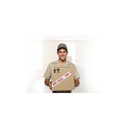 copy of 